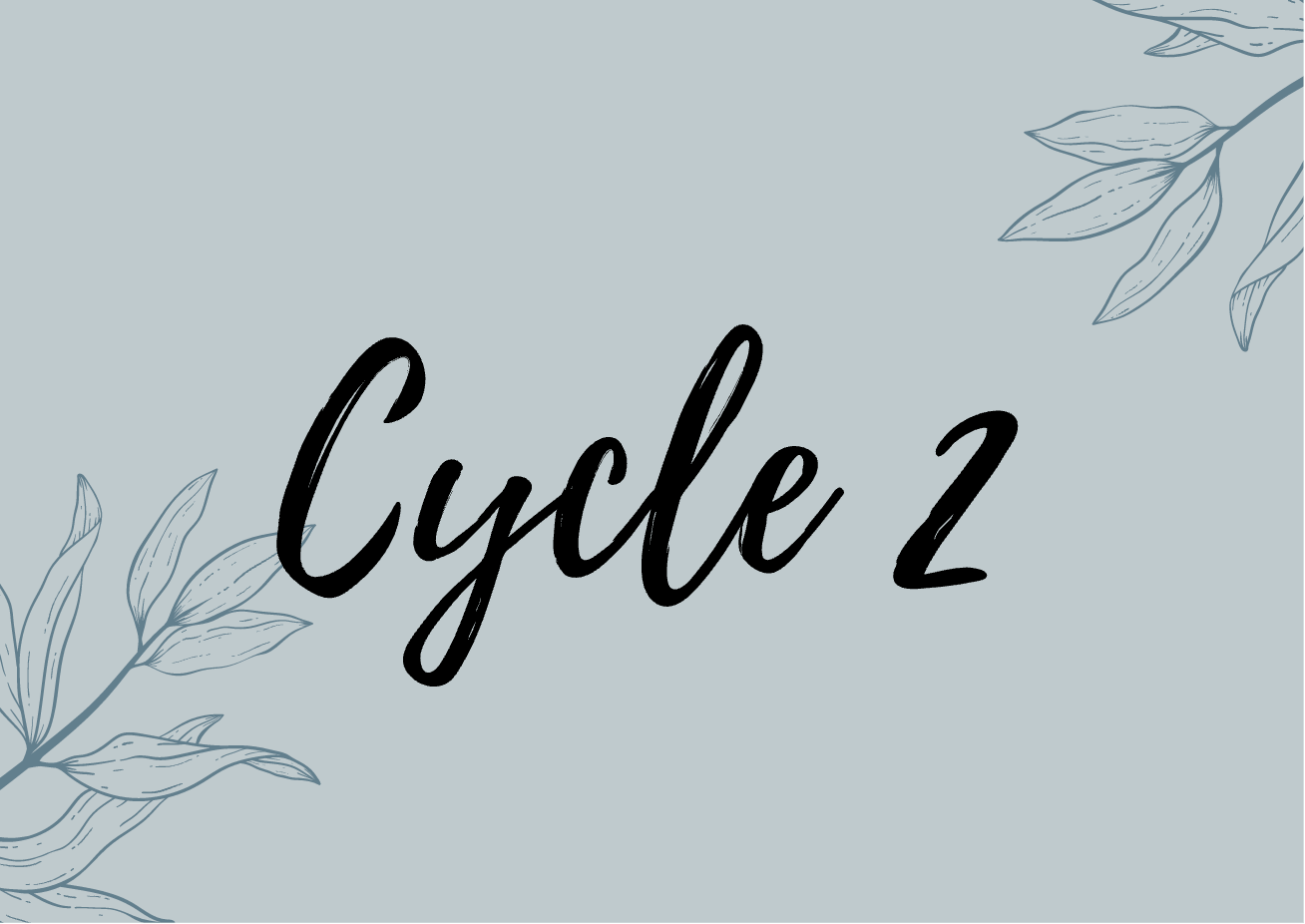 Cycle 2